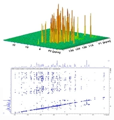 1.2GHz 1H-15N 2D BEST-TROSY (left) and 2D plane of a 1.2GHz 3D 15N edited NOESY-HSQC of a 500µM ubiquitin sample, 13C/15N labelled in H2O:D2O 90%:10%. Both experiments were recorded with a 3mm TCI CryoProbe.