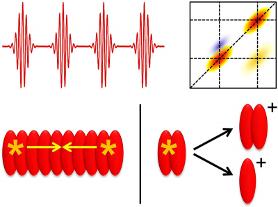 Laser pulse sequences (upper-left) cause 2D spectra (upper-right). In EEI2D spectroscopy (bottom-left), two originally separate excitations meet. With 2D mass spectrometry (right), ion photoproducts are detected. Graphic: Tobias Brixner, JMU.