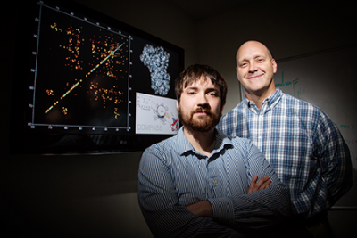 Graduate student Joseph Courtney and chemistry professor Chad Rienstra have used NMR spectroscopy to quickly and reliably determine a protein’s intricately folded structure. Photo by L. Brian Stauffer 约瑟夫·考特尼和乍得Rienstra的照片