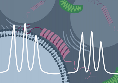 Credit: Malte Drescher Lab, University of Konstanz