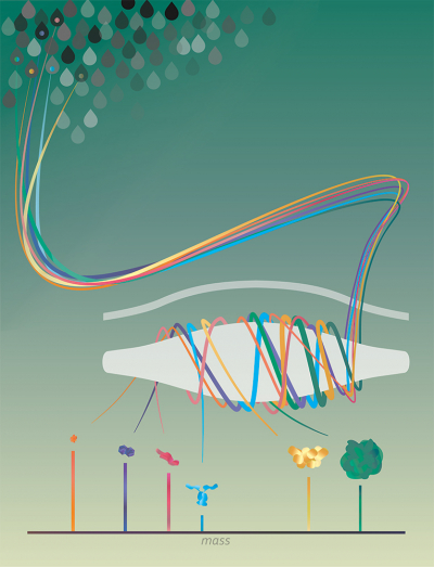 Single molecules of proteins or virus-like particles rotating around the commercially available Orbitrap analyser to determine their exact mass. Credit: Michael Mullowney/Northwestern University
