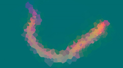 Example of the tiling pattern used in scanning a C. elegans roundworm. The non-grid-based pattern gives the sampling algorithm greater flexibility to quickly zero in on areas of interest. (Credit: Elizabeth Holman/Caltech and Yuan-Sheng Fang/Berkeley Lab)