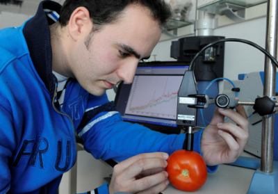 Josu Trebolazabala analyses the composition of a tomato using a Raman spectrometer in the lab (Photo: Txetxu Berruezo).