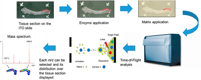 Image reproduced from https://doi.org/ghbvvg under a CC BY licence.