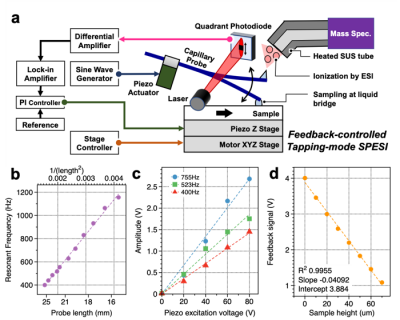 Figure 1. (a) Schematic of the measurement system developed in this study. By using this technology, extraction and ionisation of pL volumes can be performed without disruptions caused by surface roughness. In addition, one can measure the height of the sample from the change in vibration amplitude. (b) Relationship between the length of the capillary probe and the resonance frequency of the probe. (c) Correlation between the input voltage to the piezoelectric actuator used to vibrate the probe and the probe vibration amplitude. (d) Correlation between the height of the sample and the feedback control signal. Credit: Reproduced with permission. Copyright 2021 American Chemical Society. https://doi.org/10.1021/acs.analchem.0c04144