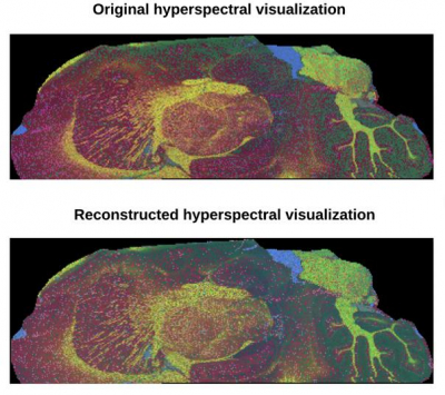Top, hyperspectral visualisation with data from a standard 9-hour experiment compared with hyperspectral visualisation with data from a proposed 1-hour experiment. Credit: courtesy the Beckman Institute for Advanced Science and Technology