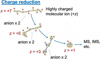 Figure 1. A depiction of a charge reduction process which is utilised as a pre-treatment process for mass spectrometry or ion mobility spectrometry. To increase the accuracy of the spectrum, excess charges on the molecular ion (PEG in this figure) are removed via collision with anion in gas.