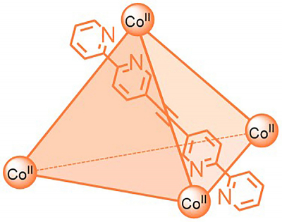 “Molecular cages” are nano-sized structures that can bind and transport other molecules like medicinal compounds. In order to release them again in a targeted manner, information about their structure and properties is needed, but these paramagnetic compounds are difficult to analyse.