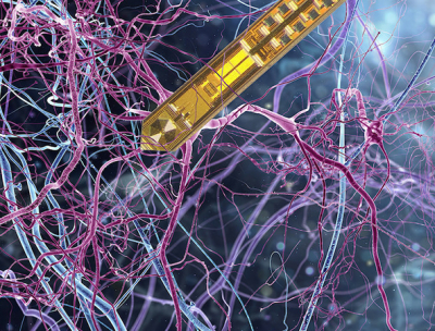 Illustration of the NMR needle in brain tissue. Credits: whitehoune - stock.adobe.com, MPI f. Biological Cybernetics, University of Stuttgart. Montage: Martin Vötsch (design-galaxie.de).
