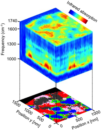 Nanoscale-resolved hyperspectral infrared data cube of a polymer blend, comprising 5000 nano-FT-IR spectra (top panel). The data cube can be divided into clusters (by hierarchical cluster analysis) and thus converted into a compositional map (bottom panel). It reveals the polymer components (grey, blue and red areas), as well as the interfaces between them (green areas) that partially exhibit anomalies that are explained by chemical interaction (purple areas). Copyright: CIC nanoGUNE.