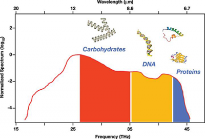 Emission spectrum of the laser and molecular fingerprint regions are shown. Credit: ICFO 图显示激光的发射光谱和分子指纹区域