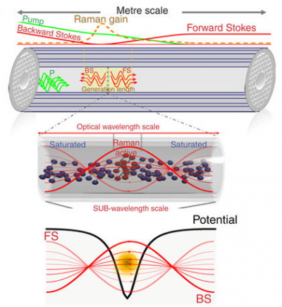 On the macroscopic scale, the pump light transforms into forward-propagating Stokes (FS) radiation, which is partially reflected from the fibre end and becomes backward-propagating Stokes radiation (BS) which is also amplified by the pump. In the region where both FS and BS are strong, they form interference pattern of standing wave, which is shown on the microscopic scale. In the low-field regions (denoted by red-colour molecules) the molecules are in the ground state and strongly trapped, as shown by the potential in the bottom panel. These trapped molecules are Raman-active, leading to line narrowing.