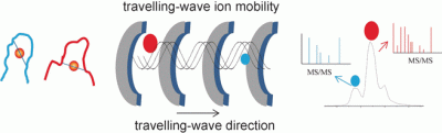 Travelling-wave ion mobility mass spectrometry elucidates gold-binding sites of drugs.