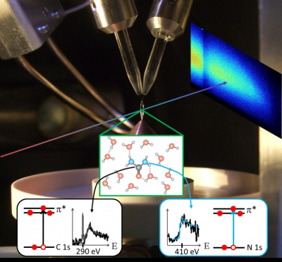 Liquid flatjet (solvated urea) illuminated by a broadband soft X-ray pulse obtained by high-order harmonic generation. The insets show the steady-state absorption of urea at the C and N K-edges extracted from the measurements. Credit: MBI