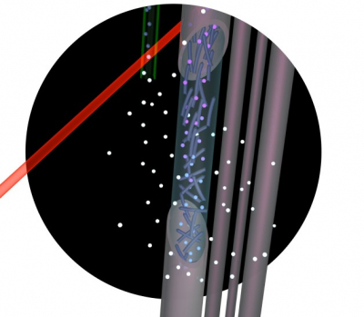 This illustration shows how the new method works. Hyperpolarised 129Xe, which can sense molecular ordering within the samples, diffuses through hollow membrane fibres containing viscous liquids. Different chemical environments, including phases (gas, liquid or solid) and types of molecular order, correspond to highly resolved 129Xe chemical shifts, represented here by different colours of xenon atoms. Credit: Ashley Truxal
