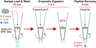 Sample preparation that used to take more than 20 hours with conventional methods can now be completed in less than 5 hours with AnExSP. Credit: Reprinted with permission from Chemical Communications © 2022 Royal Society of Chemistry (RSC) 原理图的工作流AnExSP样品制备