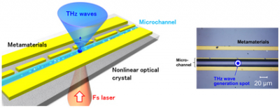 Schematic diagram and photograph of the newly developed terahertz biochemical chip. The chip is made of GaAs, a non-linear optical crystal, and is composed of five metamaterial units and a single microchannel on the surface. By irradiating with a femtosecond laser from the back surface of the crystal, a point THz light source is generated to interact with the solution. Credit: Kazunori Serita 原理图和新开发的太赫兹生化芯片的照片
