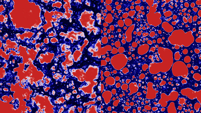Microscopic structure of fat (red) explains texture differences between foie gras (left) and pâté (right). Credit: Matias A. Via and Mathias P. Clausen