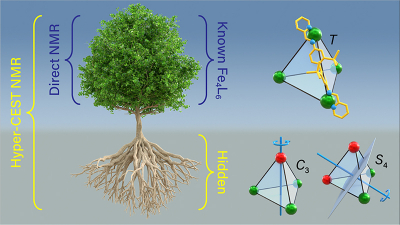 Hyper-CEST as ultra-sensitive NMR spectroscopy tool reveals two previously “hidden” structures of metal-organic cages. Visualisation: Barth van Rossum, FMP 可视化Hyper-CEST揭示两个先前“隐藏”的结构有机的笼子里。