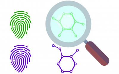 MolDiscovery, a new algorithm, uses mass spectrometry data from molecules to predict the identity of unknown substances.