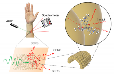 SERS in action. The gold mesh provides an ideal surface for taking measurements as it does not interfere with the substance being measured. ©2022 Goda et al., https://doi.org/10.1002/adom.202200054 传感器的工作原理图
