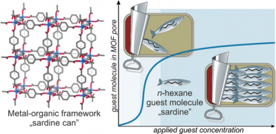 The metal-organic framework forms a scaffold, with nanometer-sized pores which hold molecules (left). As long n-hexane gas molecules are added to the pores under pressure, the molecules align in a “sardine can” effect (right). 图的沙丁鱼的效果