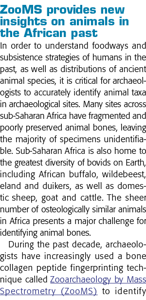 缩放Afri动物提供了新的见解can past In order to understand foodways and subsistence strategies