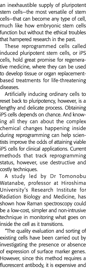 an inexhaustible supply of pluripotent stem cells—the most versatile of stem cells—that can become any type of cell,