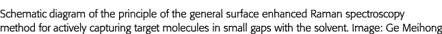 Schematic diagram of the principle of the general surface enhanced Raman spectroscopy method for actively capturing t