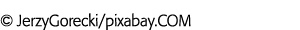JerzyGorecki pixabay COM