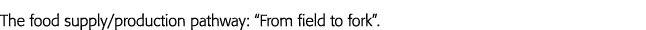 食品供应生产途径:从领域到餐桌