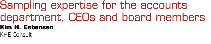 会计部门的抽样技术,首席执行官和董事会成员金H Esbensen KHE咨询