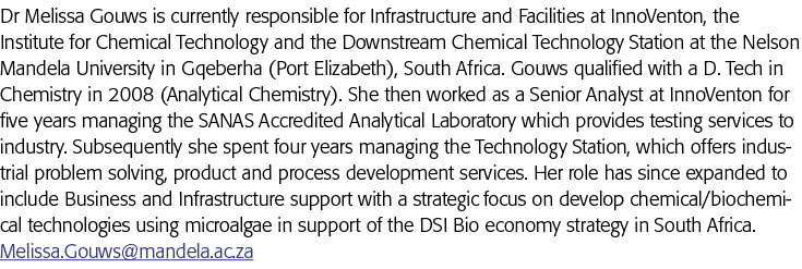 梅丽莎gouw博士目前在InnoVenton负责基础设施和设备,化学研究所