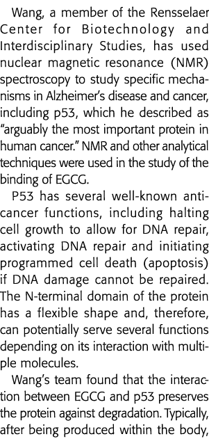 王,伦斯勒理工学院生物技术中心的一员和跨学科研究,利用核磁再保险