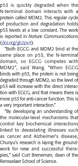 p53迅速退化的n端结构域与一种叫做MDM2的蛋白质相互作用时这个正则创造一定的循环