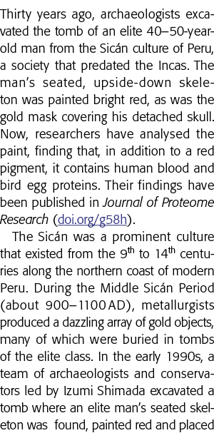 三十年前,考古学家挖掘出一个精英的坟墓40 50岁男子从秘鲁的中西卡文化