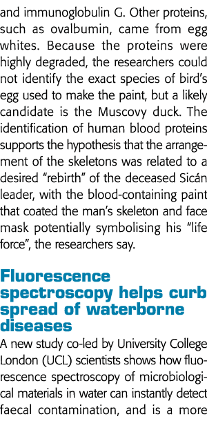 和其他免疫球蛋白G蛋白质,如卵清蛋白,来自蛋清,因为蛋白质是高度degra