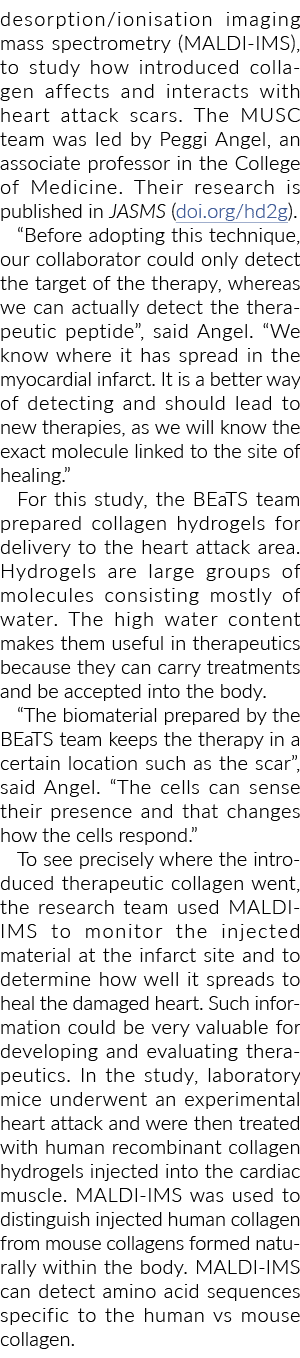 desorption ionisation imaging mass spectrometry (MALDI-IMS), to study how introduced collagen affects and interacts w