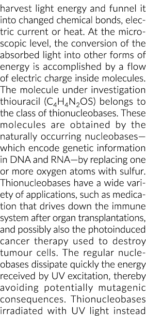 harvest light energy and funnel it into changed chemical bonds, electric current or heat  At the microscopic level, t