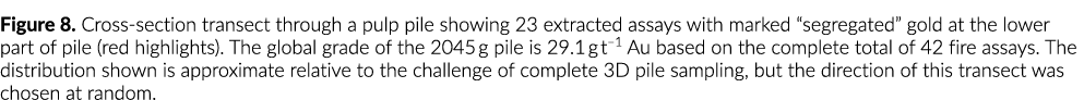 Figure 8  Cross-section transect through a pulp pile showing 23 extracted assays with marked  segregated  gold at the