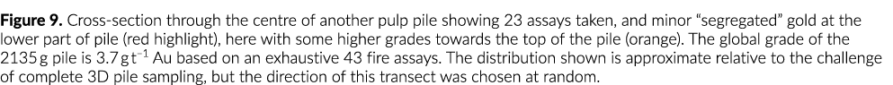 Figure 9  Cross-section through the centre of another pulp pile showing 23 assays taken, and minor  segregated  gold