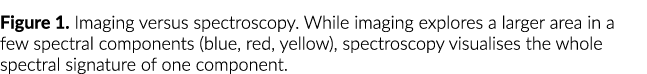 Figure 1  Imaging versus spectroscopy  While imaging explores a larger area in a few spectral components (blue, red,