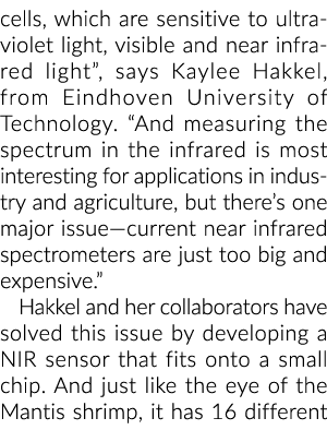 cells, which are sensitive to ultraviolet light, visible and near infrared light , says Kaylee Hakkel, from Eindhoven