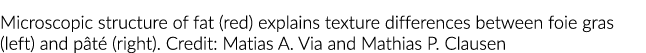 Microscopic structure of fat (red) explains texture differences between foie gras (left) and pâté (right)  Credit: Ma
