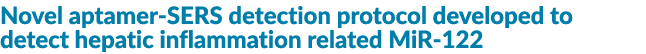Novel aptamer-SERS detection protocol developed to detect hepatic inflammation related MiR-122