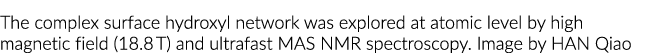 The complex surface hydroxyl network was explored at atomic level by high magnetic field (18 8 T) and ultrafast MAS N