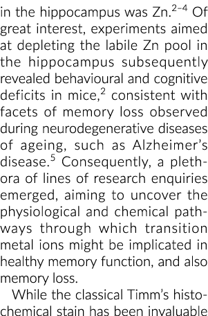 在海马体锌2 4的极大兴趣,实验旨在消耗不稳定锌池在海马体