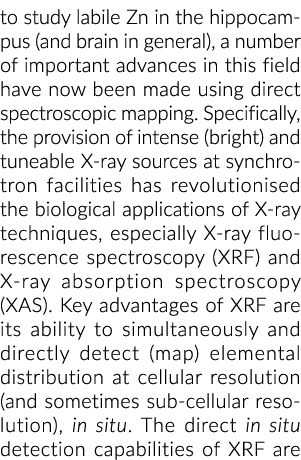 研究不稳定锌在海马(大脑),在这个领域许多重要的进步现在b