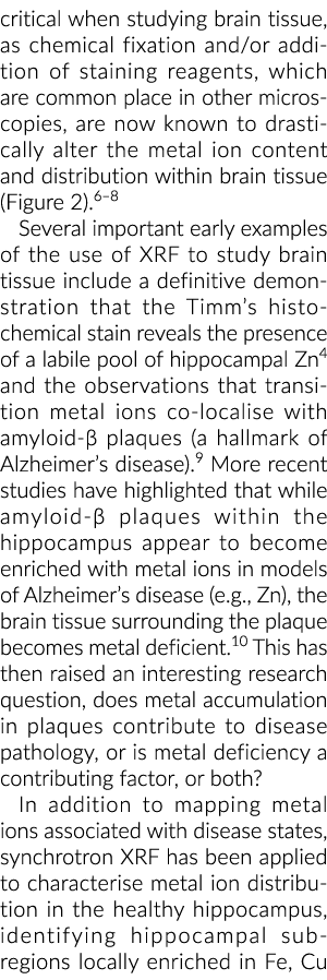 关键学习时大脑组织,如化学固定和染色试剂,常见的温馨的