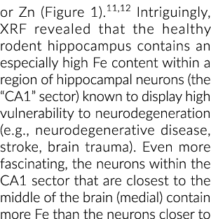 或锌(图1)11、12有趣的是,光谱仪透露,健康的啮齿动物海马包含一个铁含量特别高